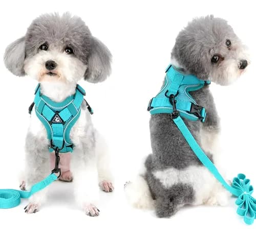 Arnes Pretal Para Perro Y Gato Con Correa 1.5 M Anti Tirones