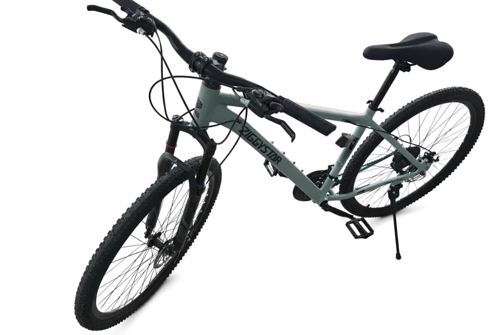 Bicicleta MTB Rodado 29 Aluminio ZiggyStar (21v, Shimano, Frenos a Disco)